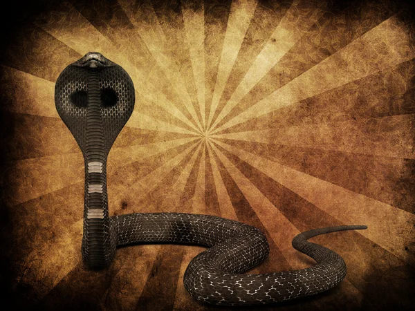 Cobra serpiente en grunge fondo —  Fotos de Stock