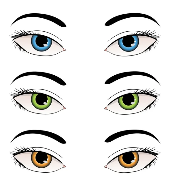 Ilustração dos olhos femininos —  Vetores de Stock