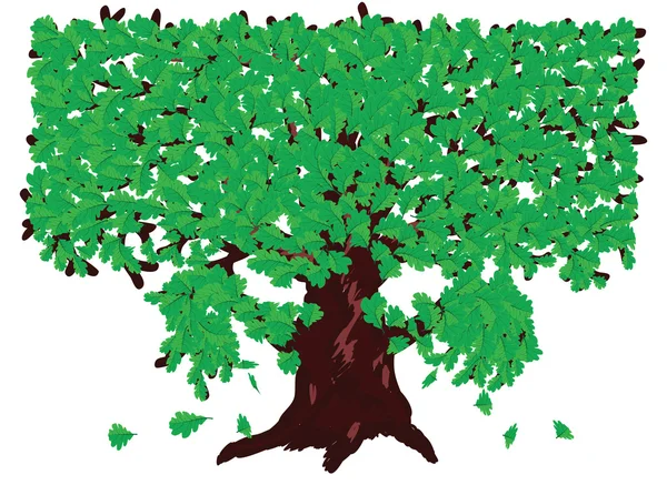 Roble con hojas verdes — Vector de stock