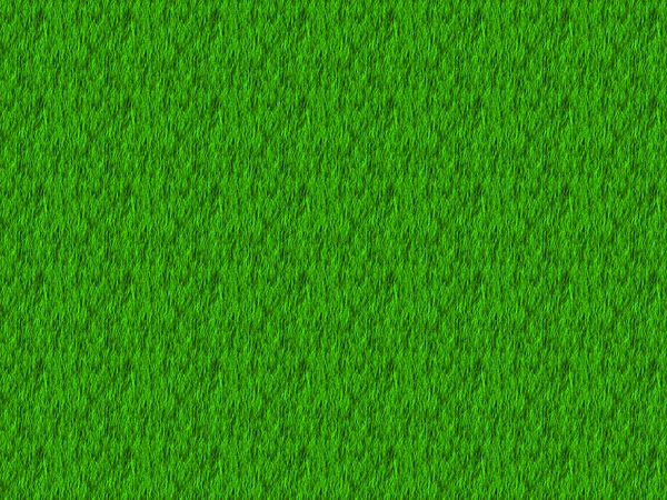 Green grass texture — Stock Photo, Image