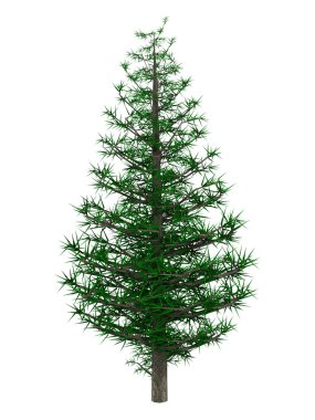 3d noel ağacı