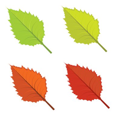 Renkli sonbahar yaprakları