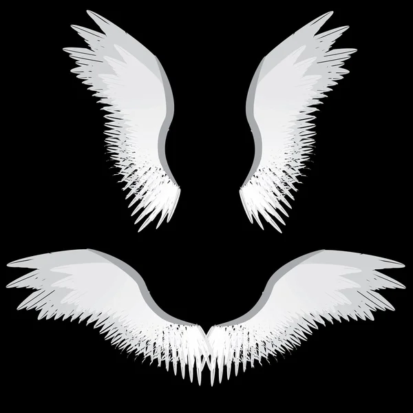 Angel wings — Stock Vector