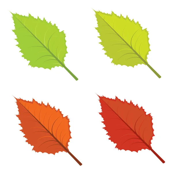 Hojas de otoño colorido — Vector de stock