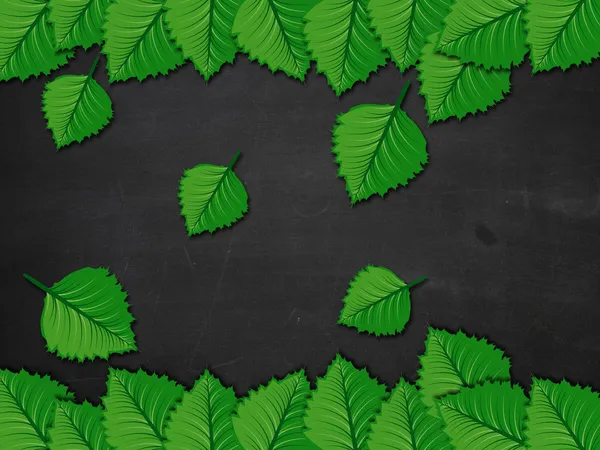 Blackboard with green leaves — Stock Photo, Image