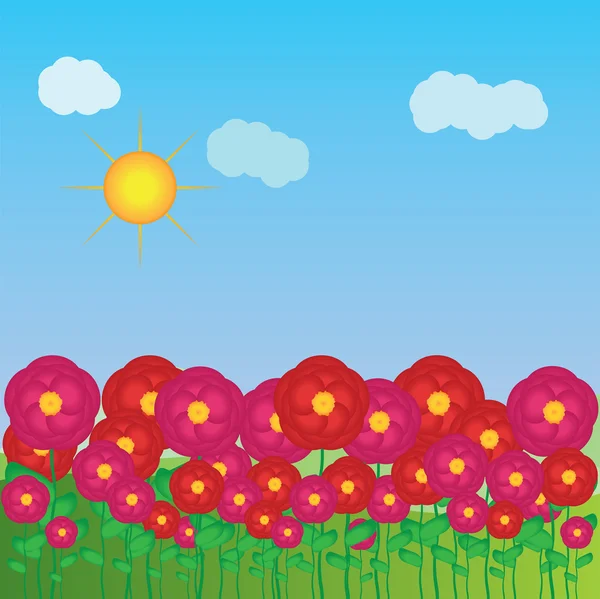 Sommerrosen — Stockvektor