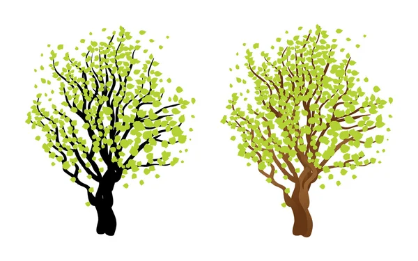 Árbol con hojas — Archivo Imágenes Vectoriales