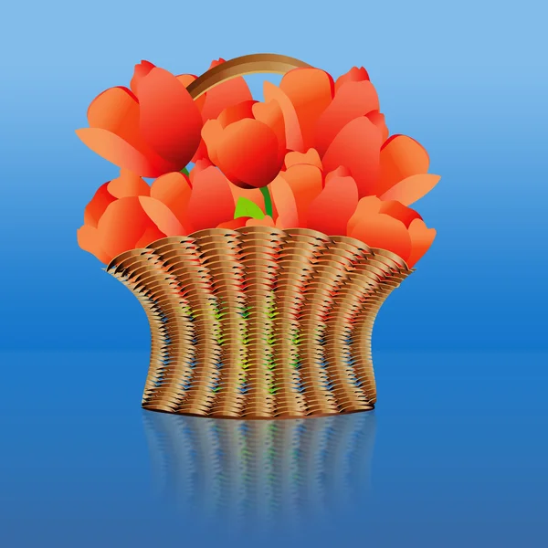 Cesta de tulipas vermelhas — Fotografia de Stock