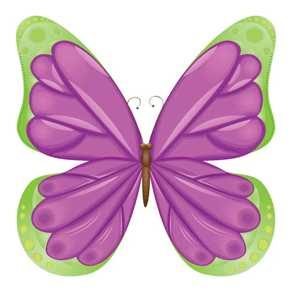 Beau papillon — Image vectorielle