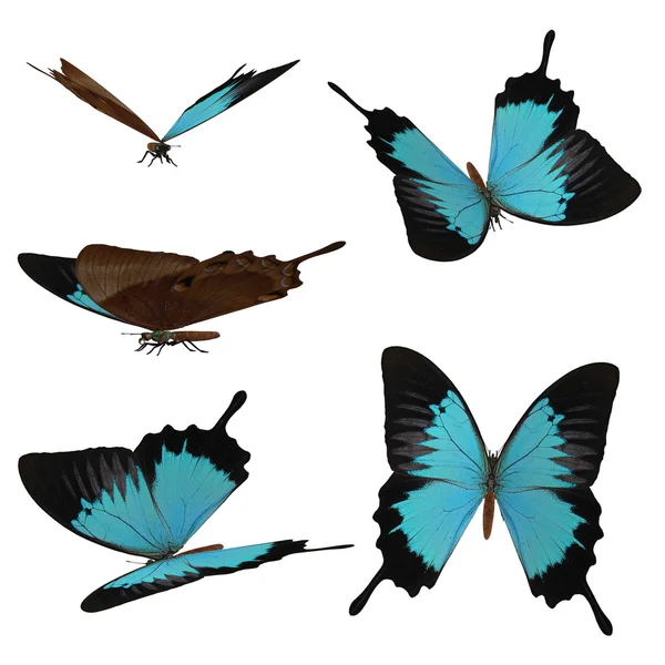 3d blue butterflies — Stock Photo, Image