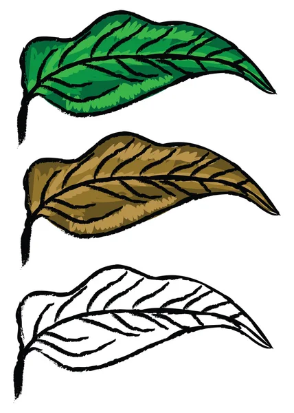 Folhas desenhadas à mão — Vetor de Stock
