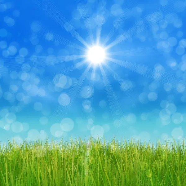Groen gras en blauwe lucht — Stockfoto
