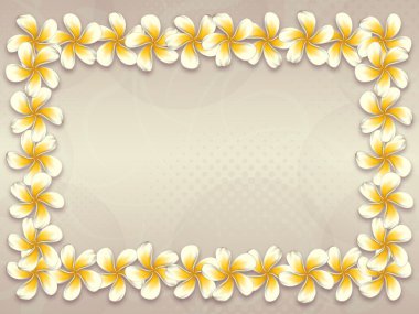 Beyaz plumeria çiçekli çerçeve