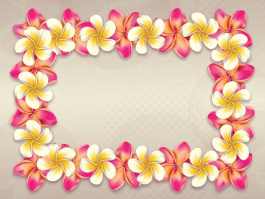 Plumeria çiçekli çerçeve