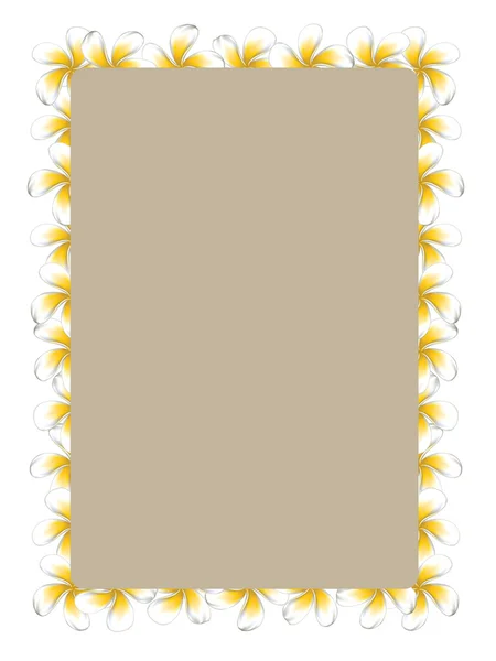 White frangipani flowers frame — Stock Vector