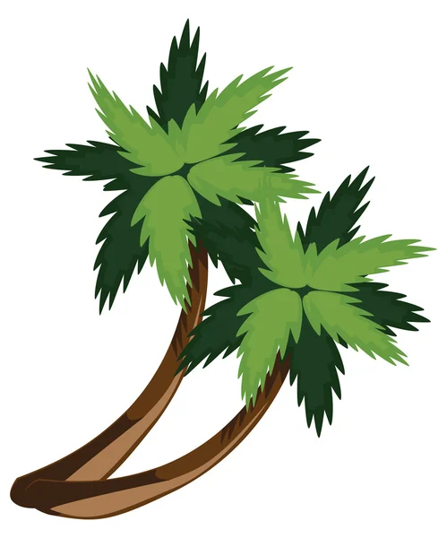 Two cartoon palms — Stock Vector