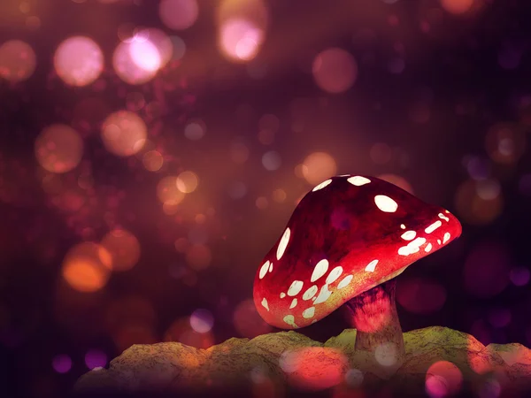 Cogumelo mágico — Fotografia de Stock