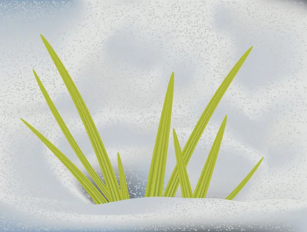 Grönt gräs i snö — Stock vektor