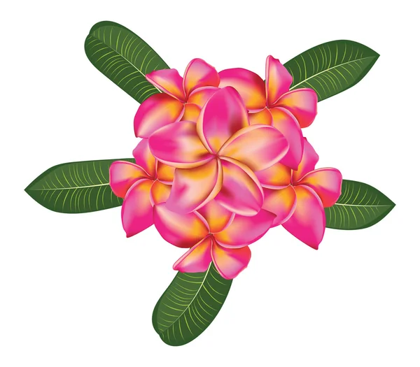 Hibiscus With Plumeria Flower Tattoo Design Instant Download Printable  Stencil - Etsy Finland