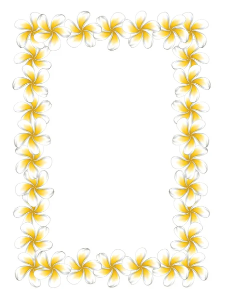 Cadre de fleurs frangipani blanc — Image vectorielle