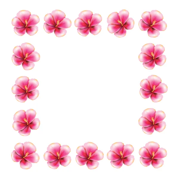 Roze hibiscus frame — Stockvector