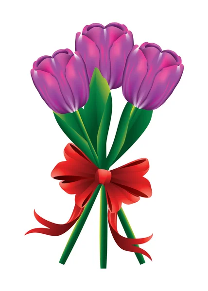 Tulip bouquet with red bow — Stock Vector