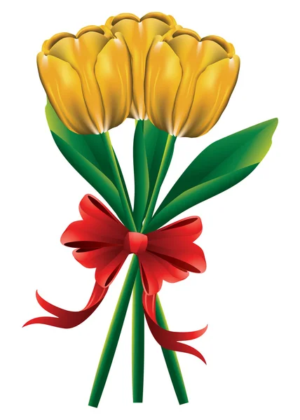 Tulipán csokor piros íj — Stock Vector