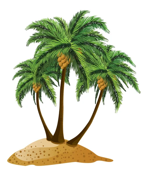 Cartoon island with palms — Stock Vector