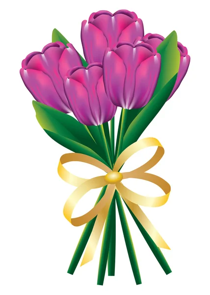 Tulip bouquet with bow — Stock Vector