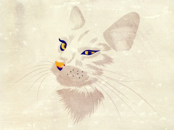 Witte kat met gele ogen — Stockfoto