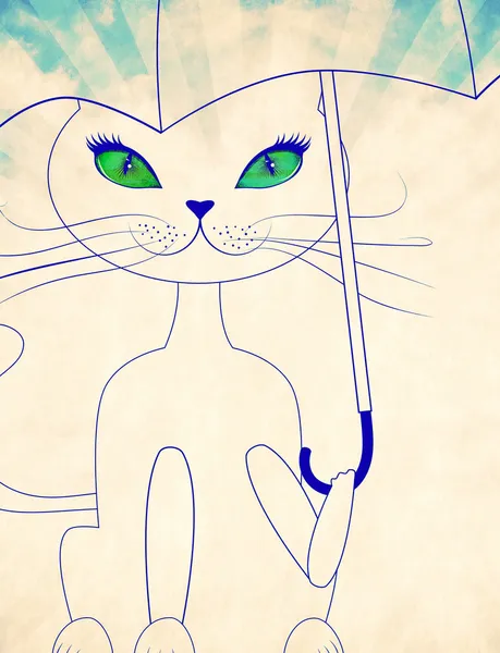 Cat with umbrella — Stock Photo, Image