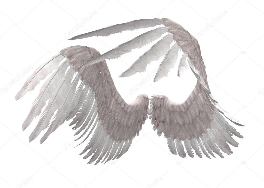 Angel wings