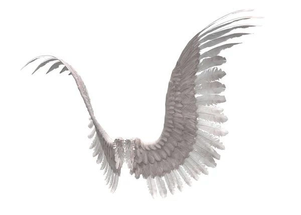 Angel wings — Stock Photo, Image