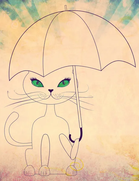 Şemsiye ile kedi — Stok fotoğraf