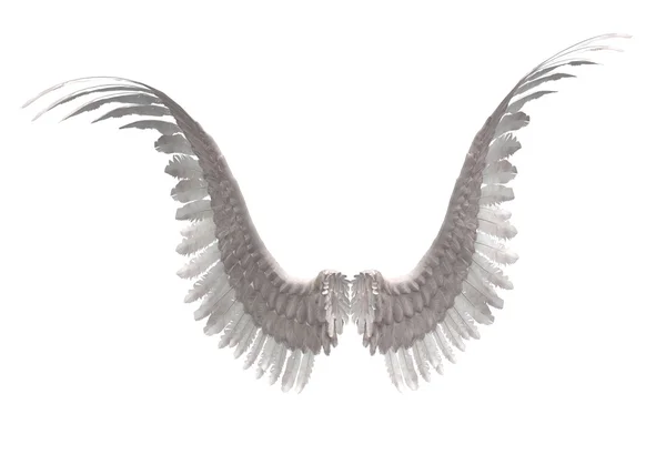 Asas de anjo — Fotografia de Stock
