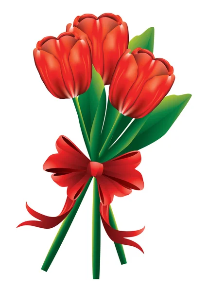 Tulip bouquet with red bow — Stock Vector