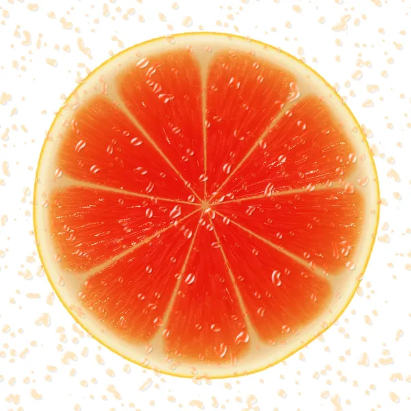 Scheibe Grapefruit — Stockfoto