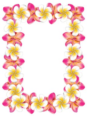 Beyaz ve pembe frangipani çiçekli çerçeve