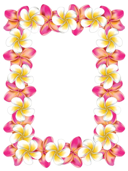 Cadre de fleurs frangipani blanc et rose — Image vectorielle
