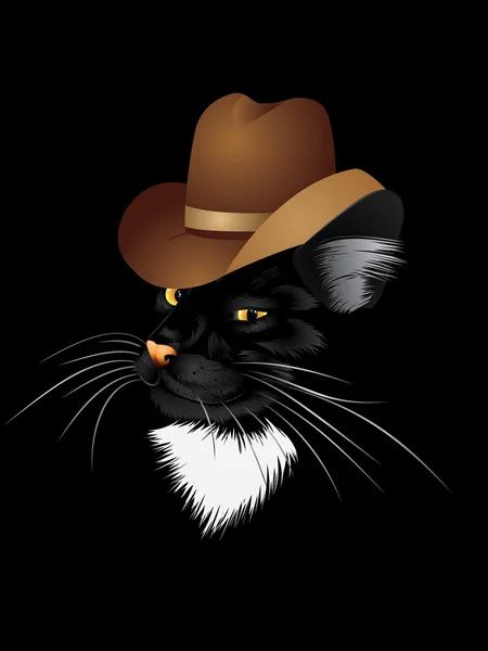 Kat cowboy — Stockvector
