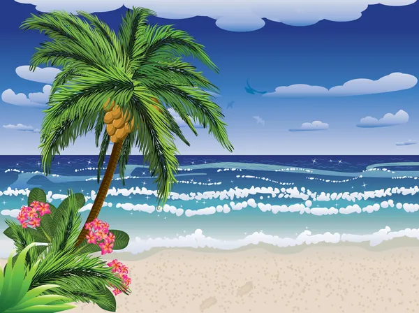 Palmera en la playa — Vector de stock