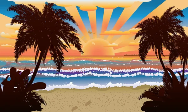 Zachód słońca na plaży z palmami — Wektor stockowy