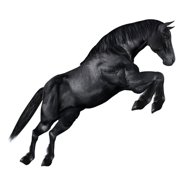 Чёрный конь