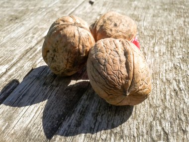 tablo üzerinde ceviz