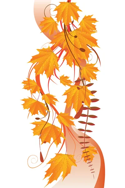 Ornament aus Ahornblättern — Stockvektor