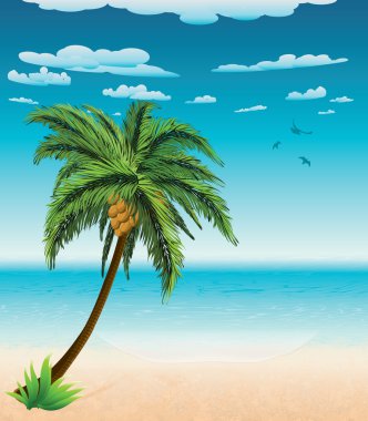 yaz plaj ve palm