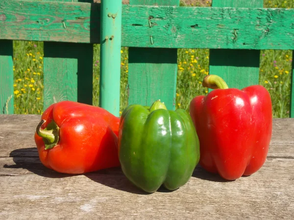 Pimentos coloridos na mesa — Fotografia de Stock