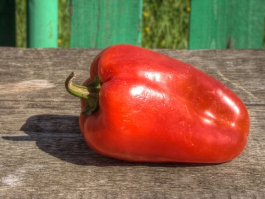 Kırmızı Biber Çanı