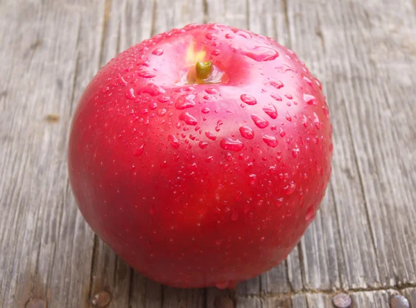 Roter Apfel mit Wassertropfen — Stockfoto