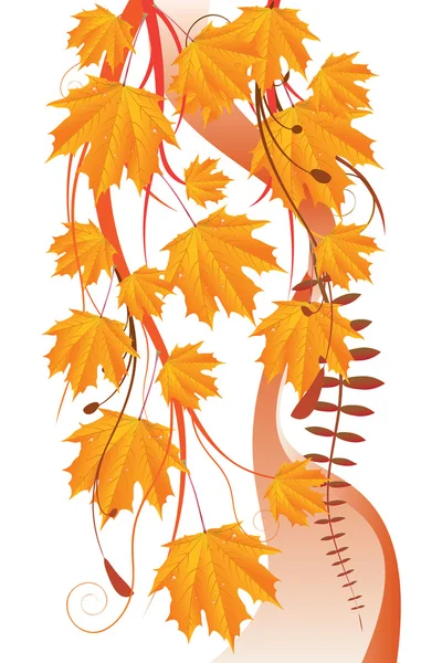 Maple leaves ornament — Stock Vector